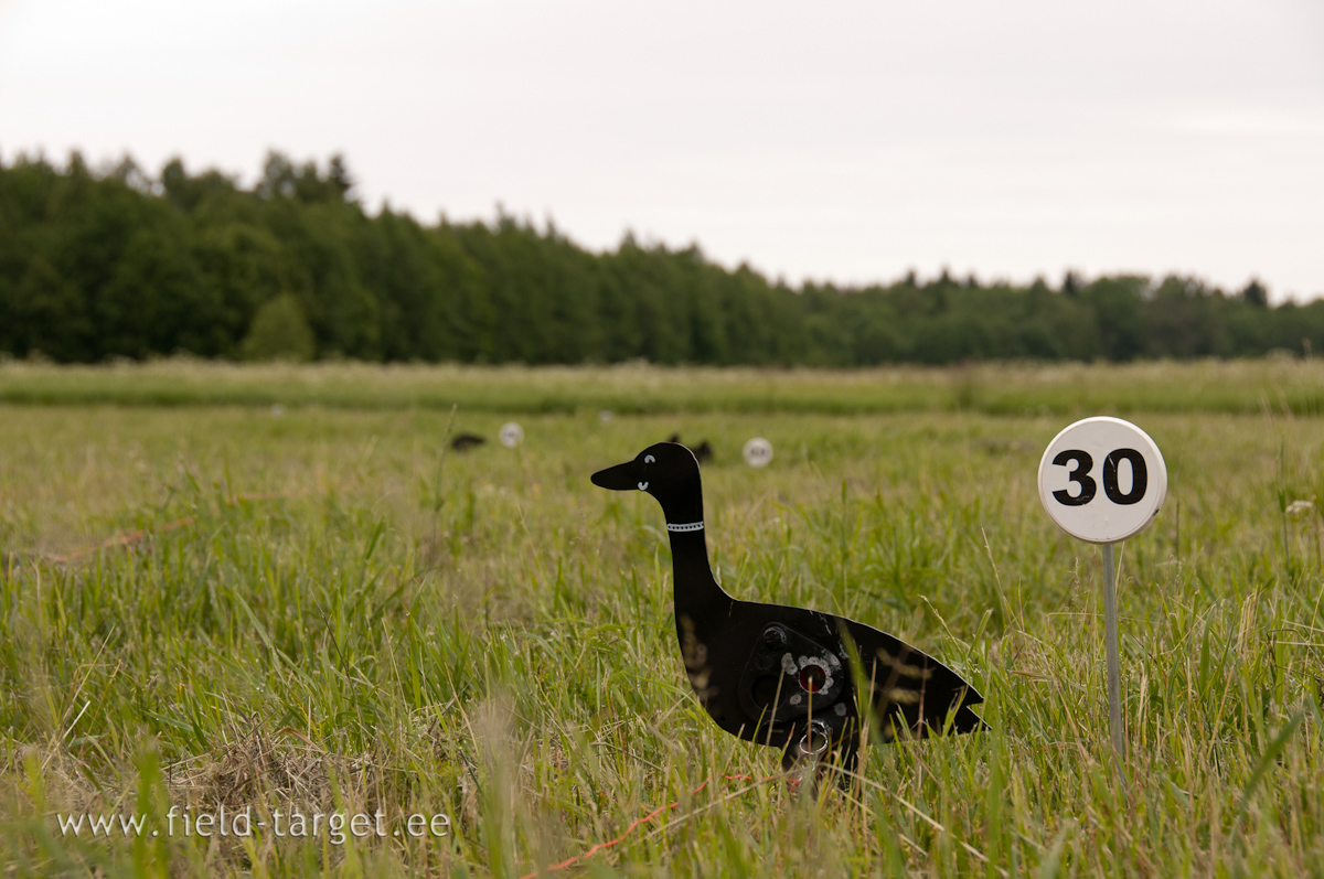 20 mm kill zone at 20 meters - standing
